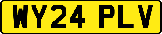 WY24PLV