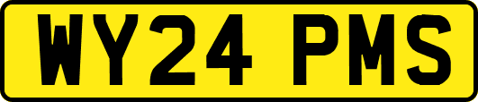 WY24PMS