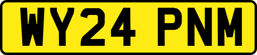WY24PNM