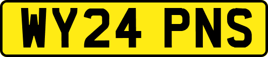 WY24PNS