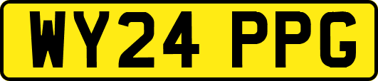 WY24PPG