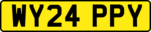 WY24PPY