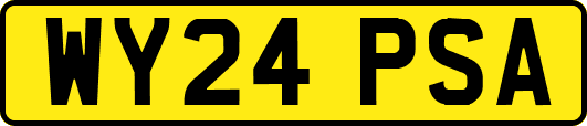 WY24PSA