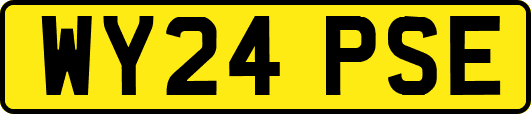 WY24PSE