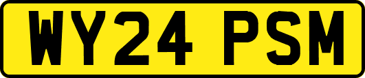 WY24PSM