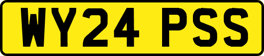 WY24PSS