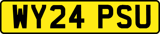 WY24PSU