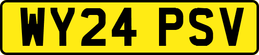 WY24PSV