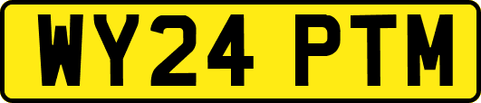 WY24PTM