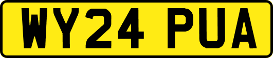 WY24PUA