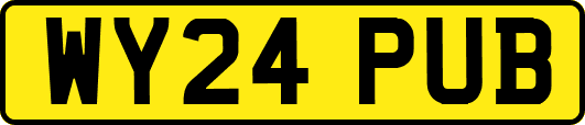 WY24PUB