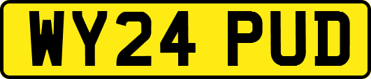 WY24PUD