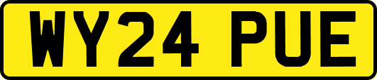 WY24PUE