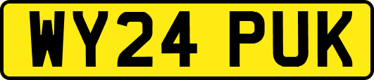 WY24PUK