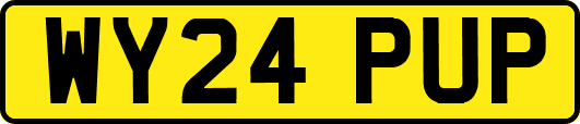 WY24PUP