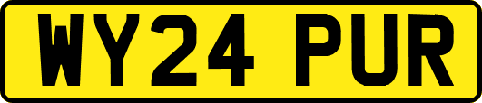 WY24PUR