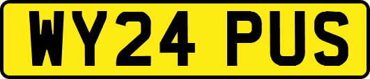 WY24PUS