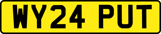 WY24PUT