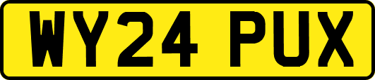 WY24PUX