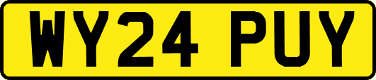 WY24PUY