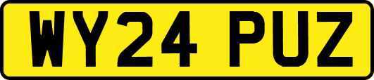 WY24PUZ