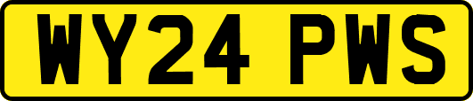 WY24PWS