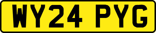 WY24PYG