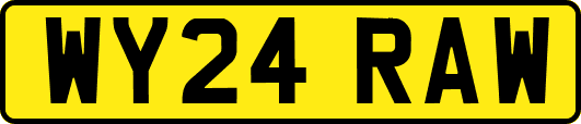 WY24RAW