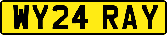 WY24RAY