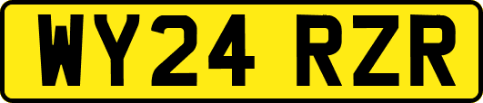 WY24RZR