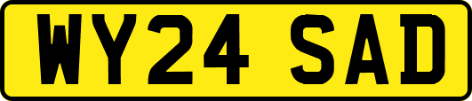WY24SAD