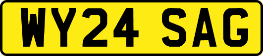 WY24SAG