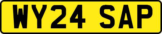 WY24SAP