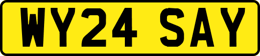 WY24SAY