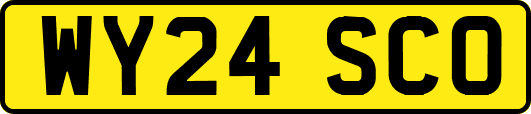 WY24SCO