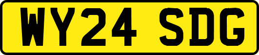 WY24SDG