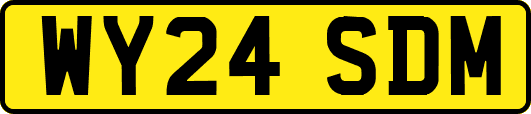 WY24SDM