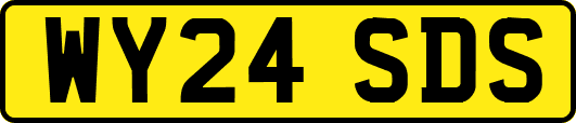 WY24SDS