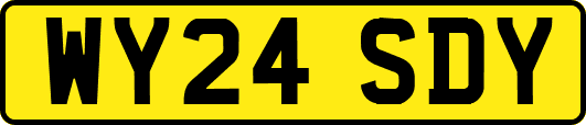 WY24SDY