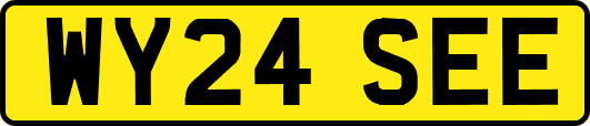 WY24SEE