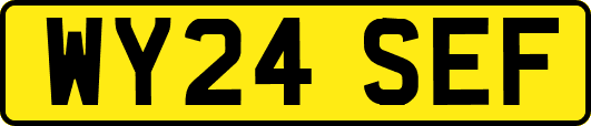 WY24SEF