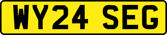WY24SEG