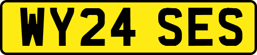 WY24SES