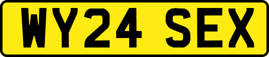 WY24SEX