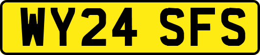 WY24SFS