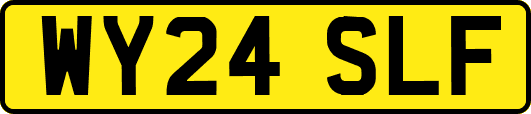 WY24SLF