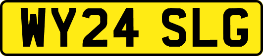 WY24SLG