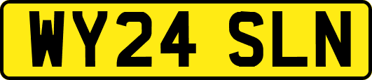 WY24SLN