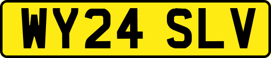 WY24SLV