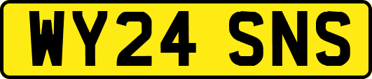 WY24SNS